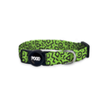 Pisto Green Loop | Kedi Tasması - Evcil hayvanlar için mükemmel bir ürün.