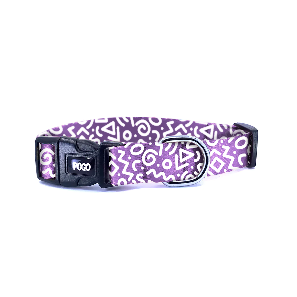 Purple Loop | Köpek Tasması - Evcil hayvanlar için mükemmel bir ürün.