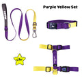 Purple Yellow | Tasma ve Künye Seti - Evcil hayvanlar için mükemmel bir ürün.