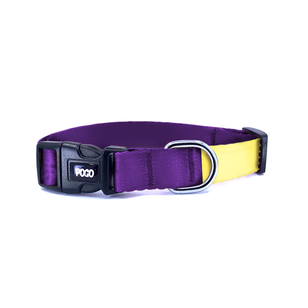 Purple Yellow | Köpek Tasması - Evcil hayvanlar için mükemmel bir ürün.