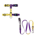 Purple Yellow Kedi Gezdirme Seti - Göğüs Tasması ve İp
