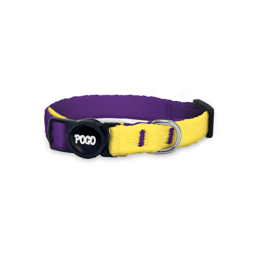 Purple Yellow | Kedi Tasması - Evcil hayvanlar için mükemmel bir ürün.