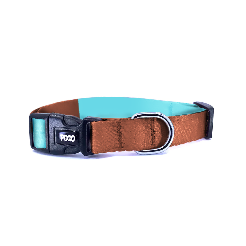 Brown Teal | Köpek Tasması - Evcil hayvanlar için mükemmel bir ürün.