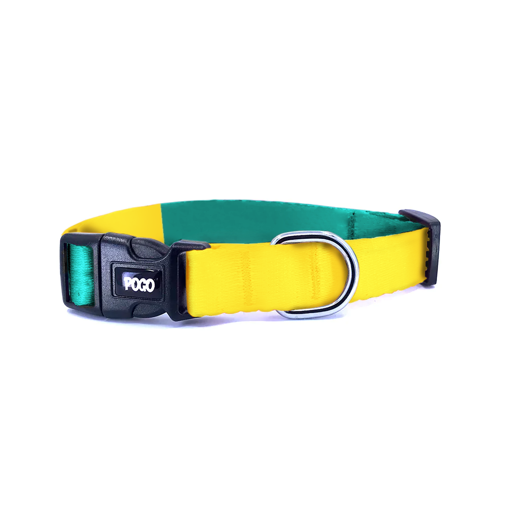 Yellow Green | Köpek Tasması - Evcil hayvanlar için mükemmel bir ürün.