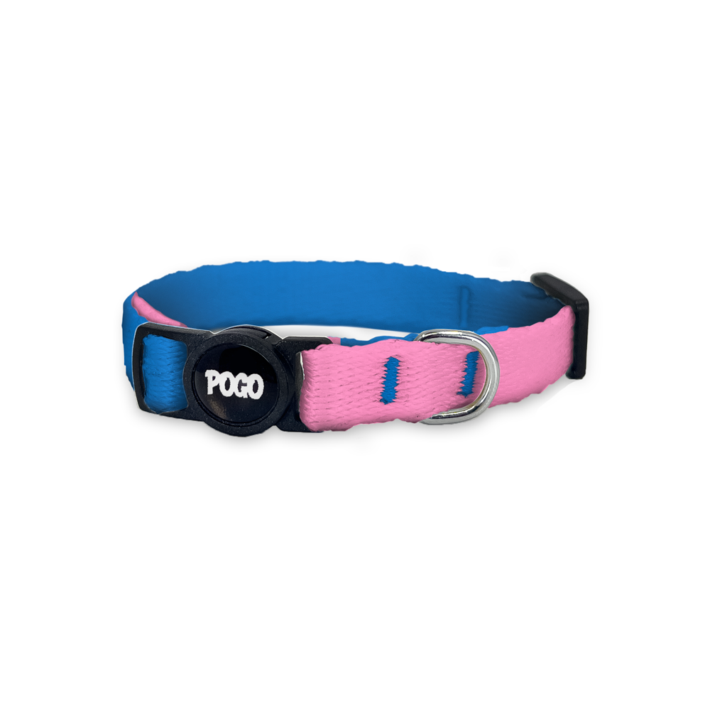 Blue Pink | Kedi Tasması - Evcil hayvanlar için mükemmel bir ürün.
