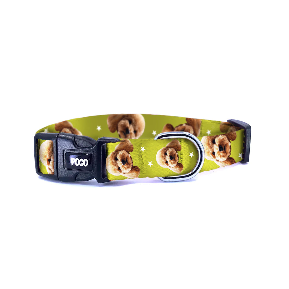 Vesikalık Zeytin Yeşili | Köpek Tasması Ürün ana görseli
