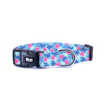 Aloha | Köpek Tasması