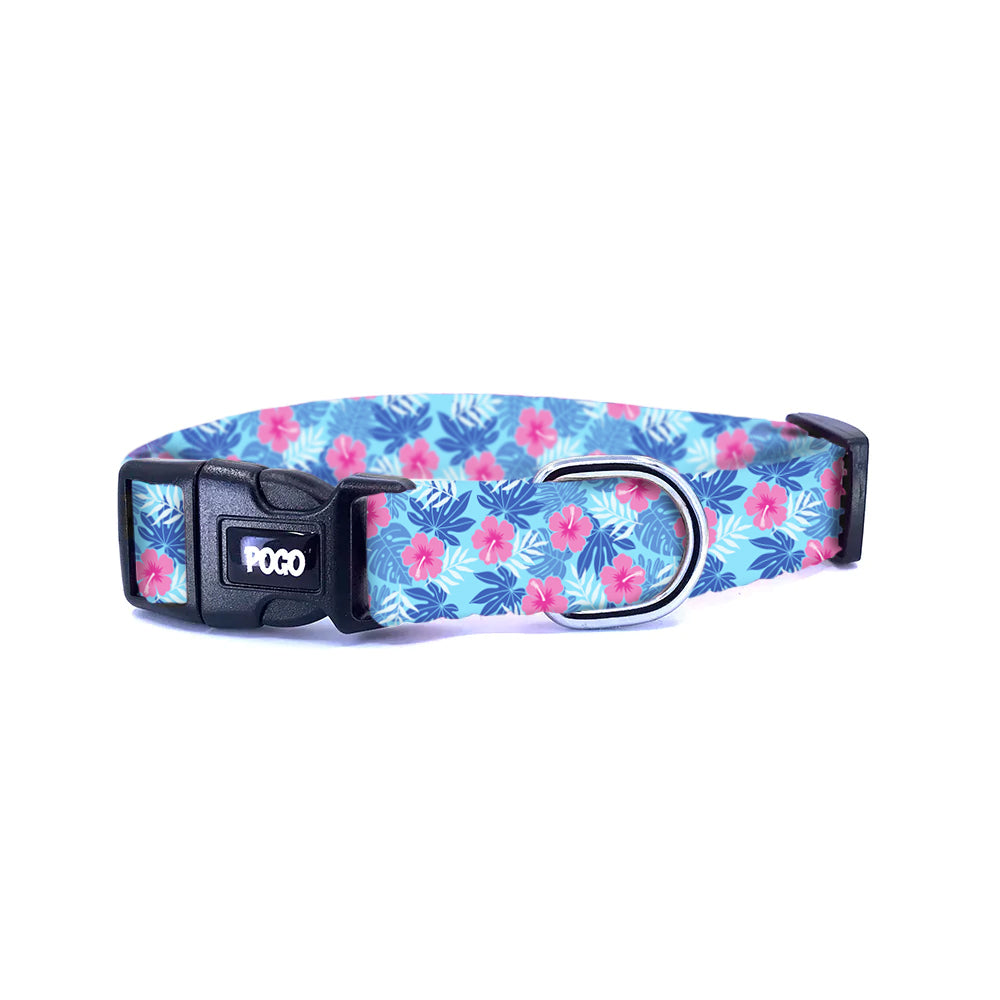Aloha | Köpek Tasması