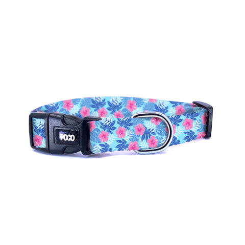 Aloha | Köpek Tasması