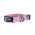 Pink Stitch | Köpek Tasması