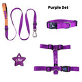Purple | Tasma ve Künye Seti - Evcil hayvanlar için mükemmel bir ürün.