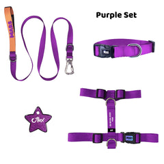Purple | Tasma ve Künye Seti - Evcil hayvanlar için mükemmel bir ürün.
