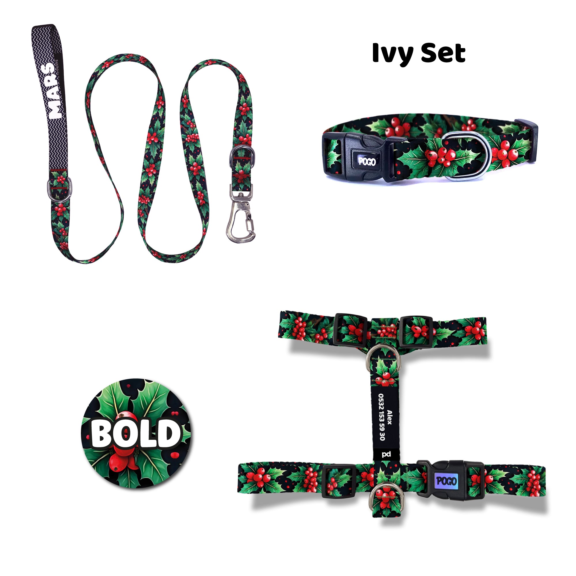 Ivy | Tasma ve Künye Seti