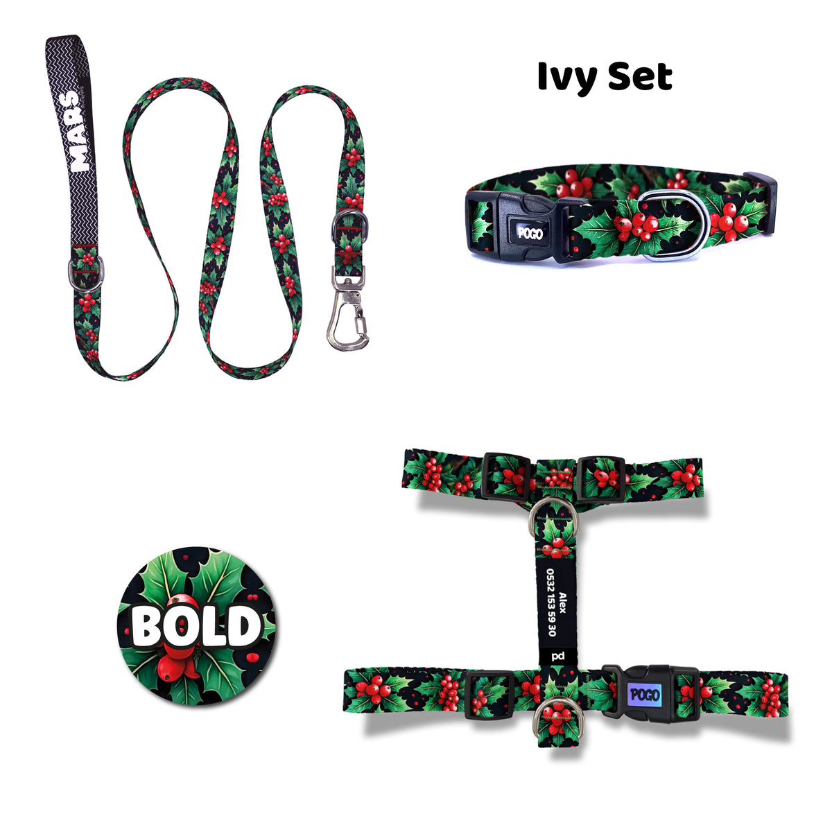 Ivy | Tasma ve Künye Seti