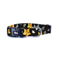 Starry | Köpek Tasması