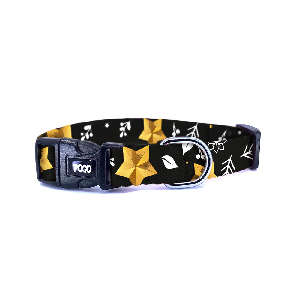 Starry | Köpek Tasması