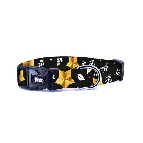 Starry | Köpek Tasması