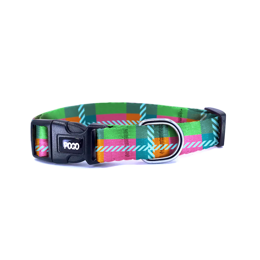 Tropic | Köpek Tasması