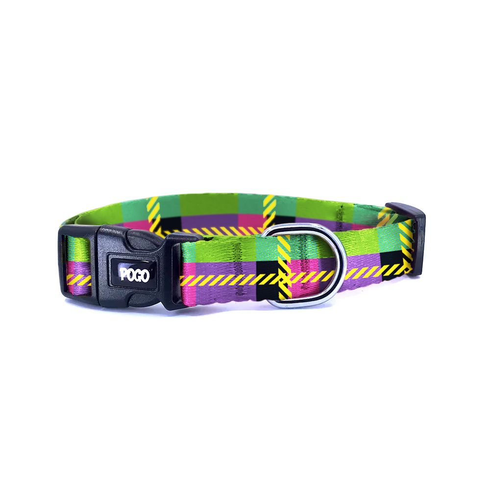 Neon Night | Köpek Tasması