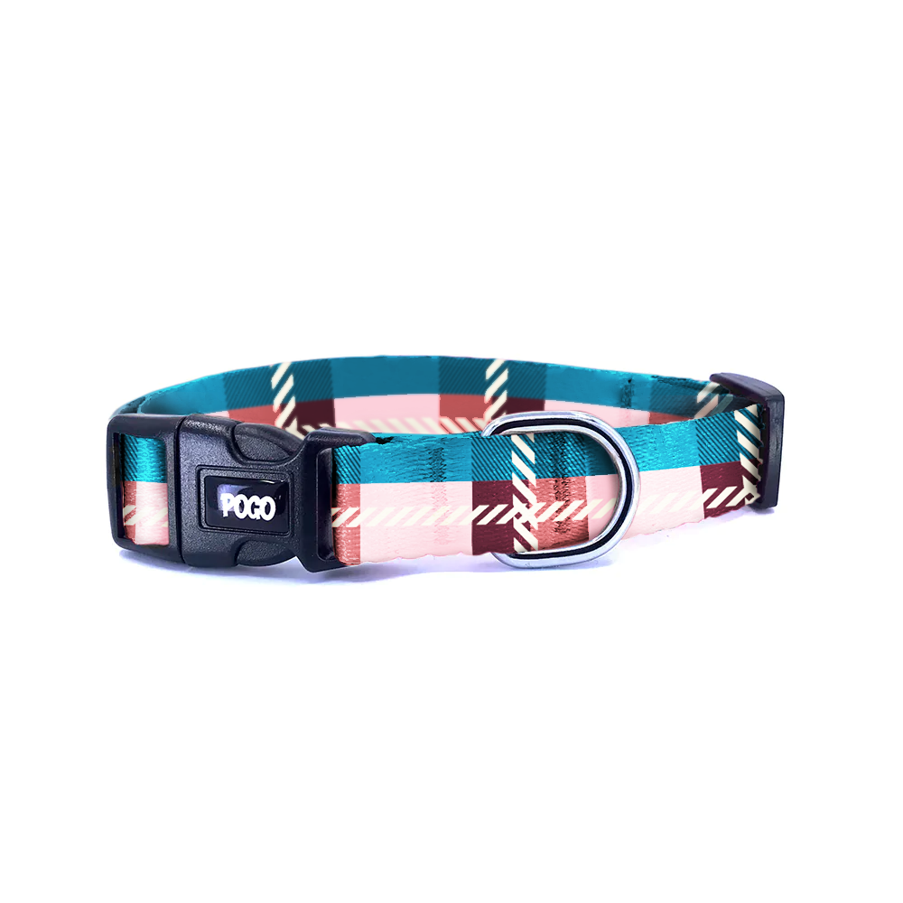 Coral | Köpek Tasması
