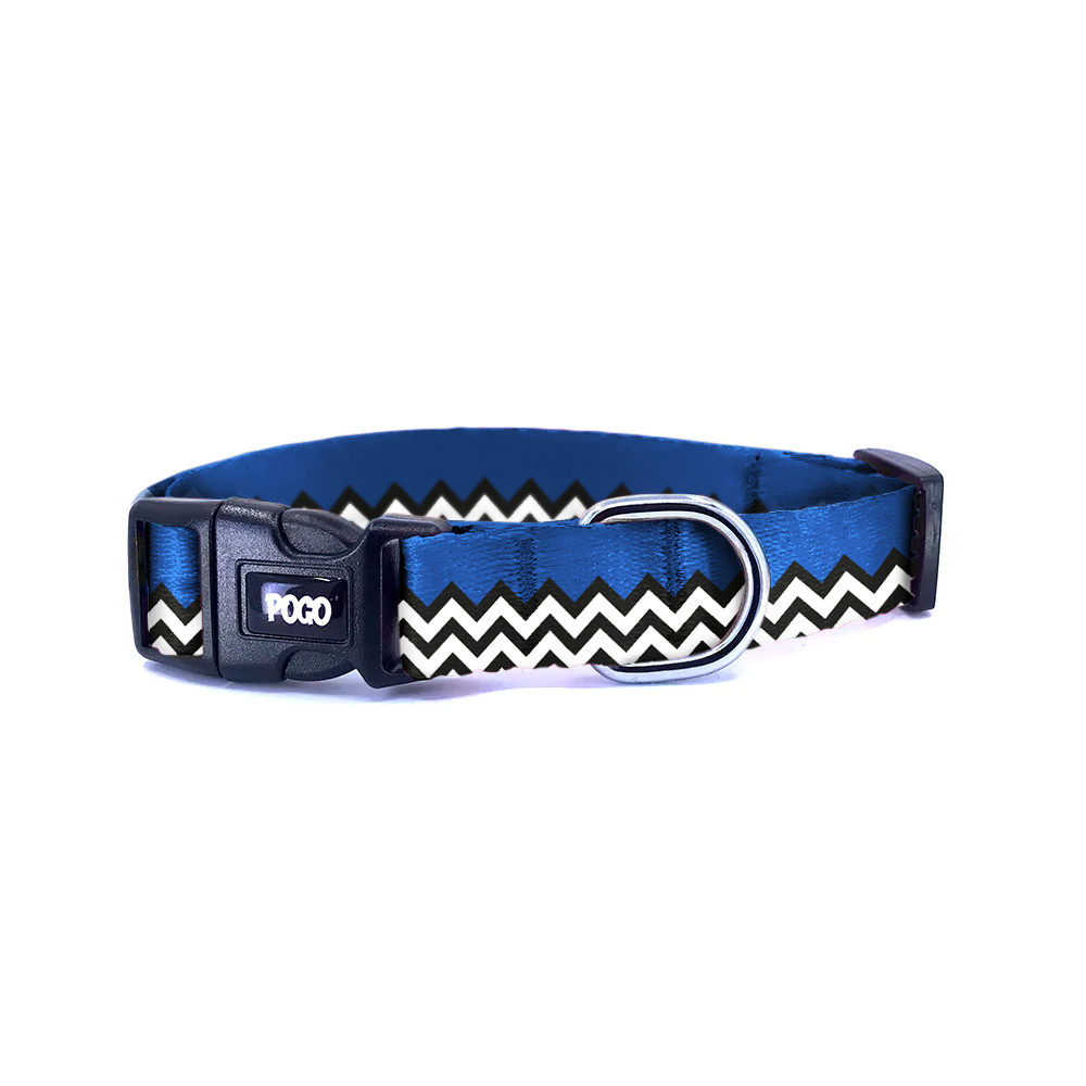 Zig Indigo | Köpek Tasması