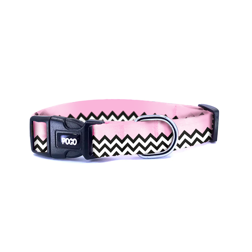 Zig Pembe | Köpek Tasması