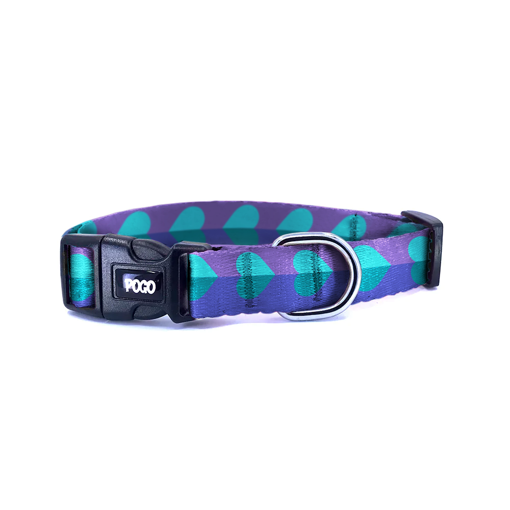 Love Cruise | Köpek Tasması