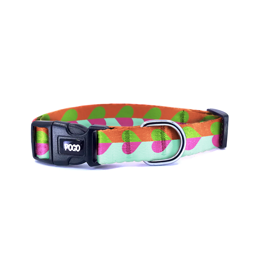 Love Tropic | Köpek Tasması
