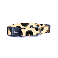 Safari | Köpek Tasması