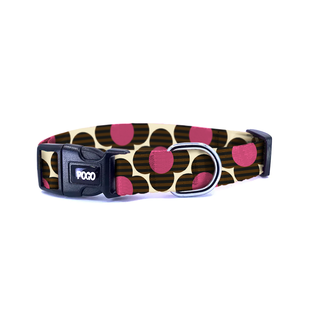 Retro Blossom | Köpek Tasması