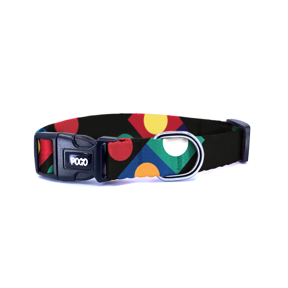 Bauhaus Siyah | Köpek Tasması
