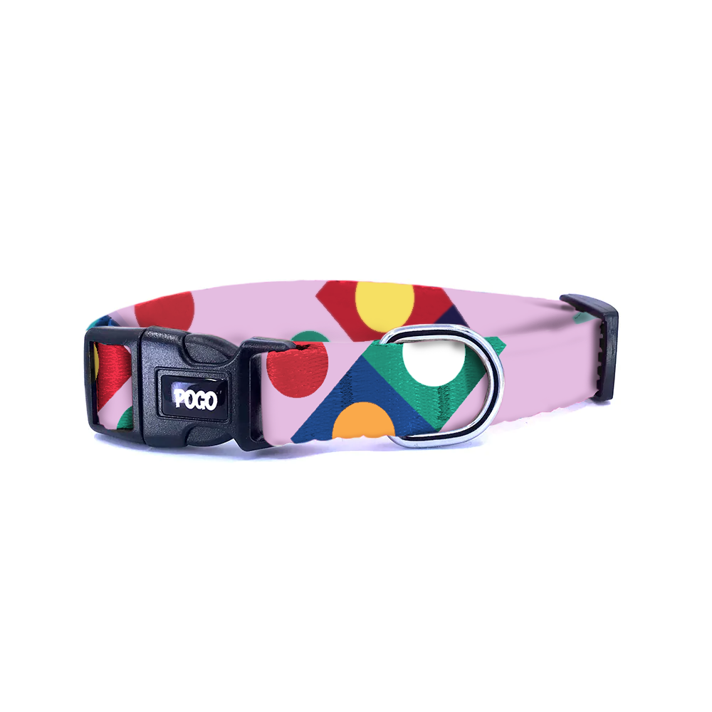 Bauhaus Lila | Köpek Tasması