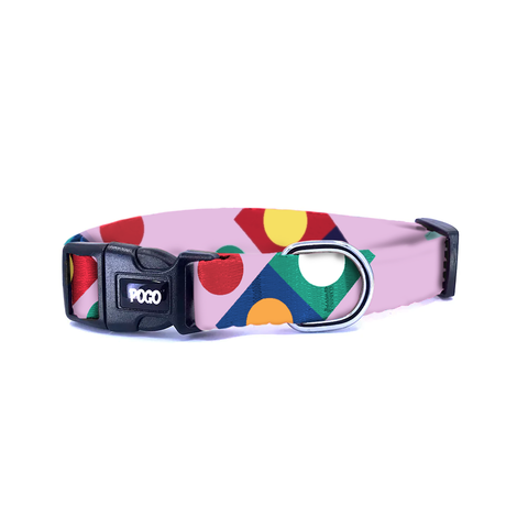 Bauhaus Lila | Köpek Tasması