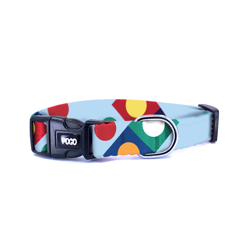 Bauhaus Mavi | Köpek Tasması