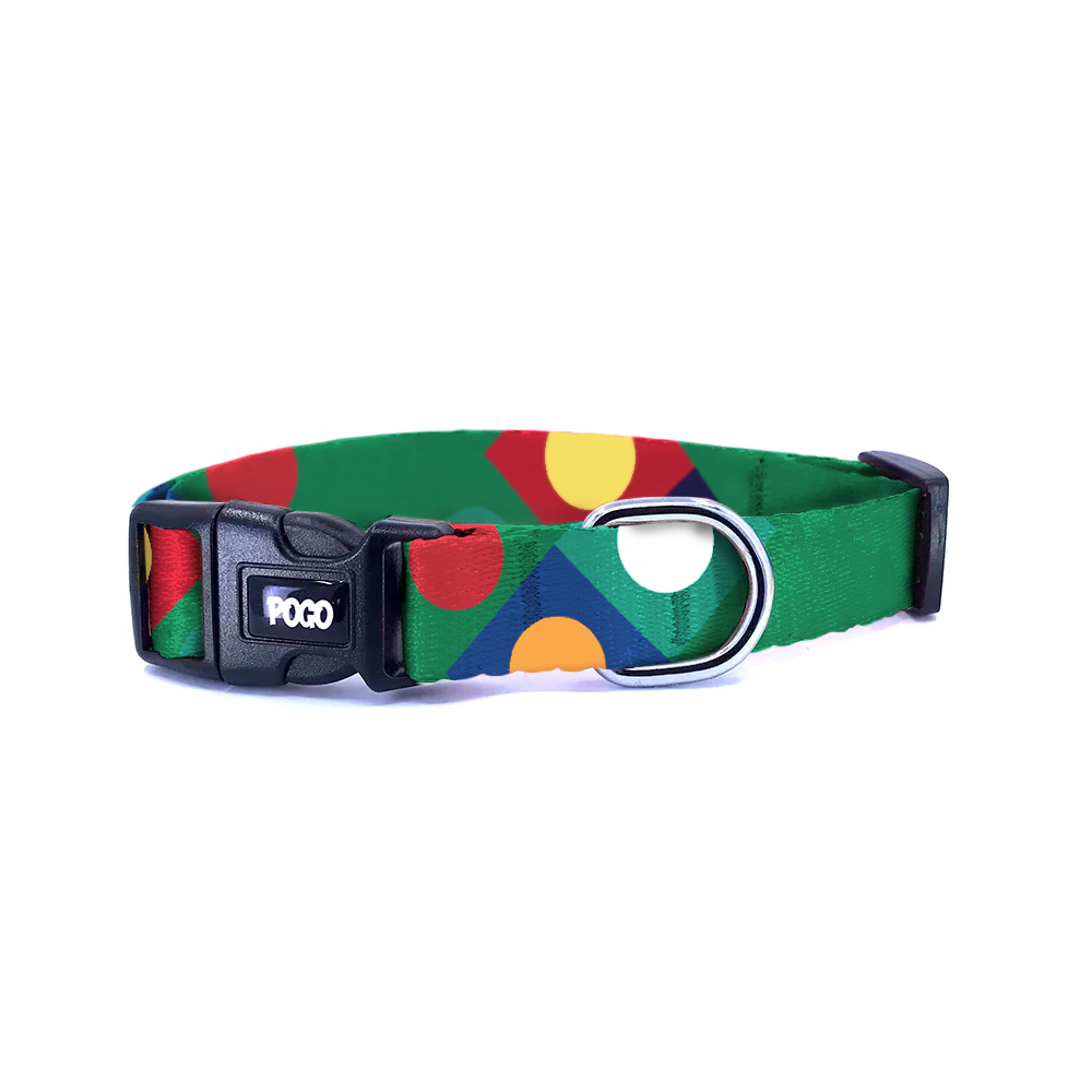 Bauhaus Yeşil | Köpek Tasması
