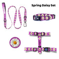 Spring Daisy | Tasma ve Künye Seti