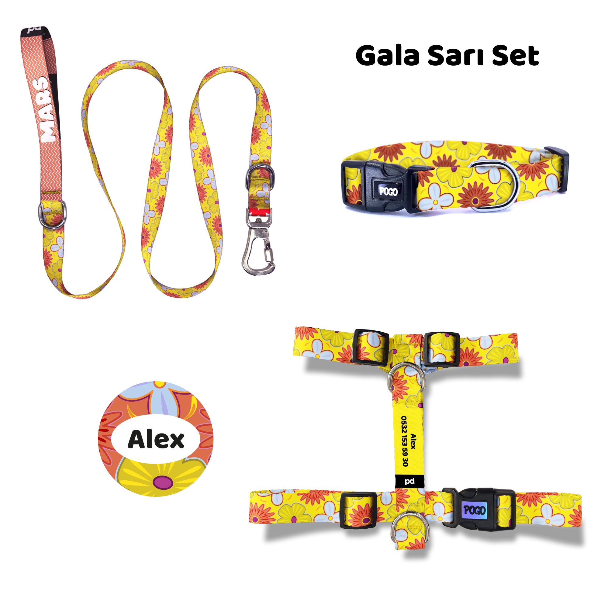Gala Sarı | Tasma ve Künye Seti