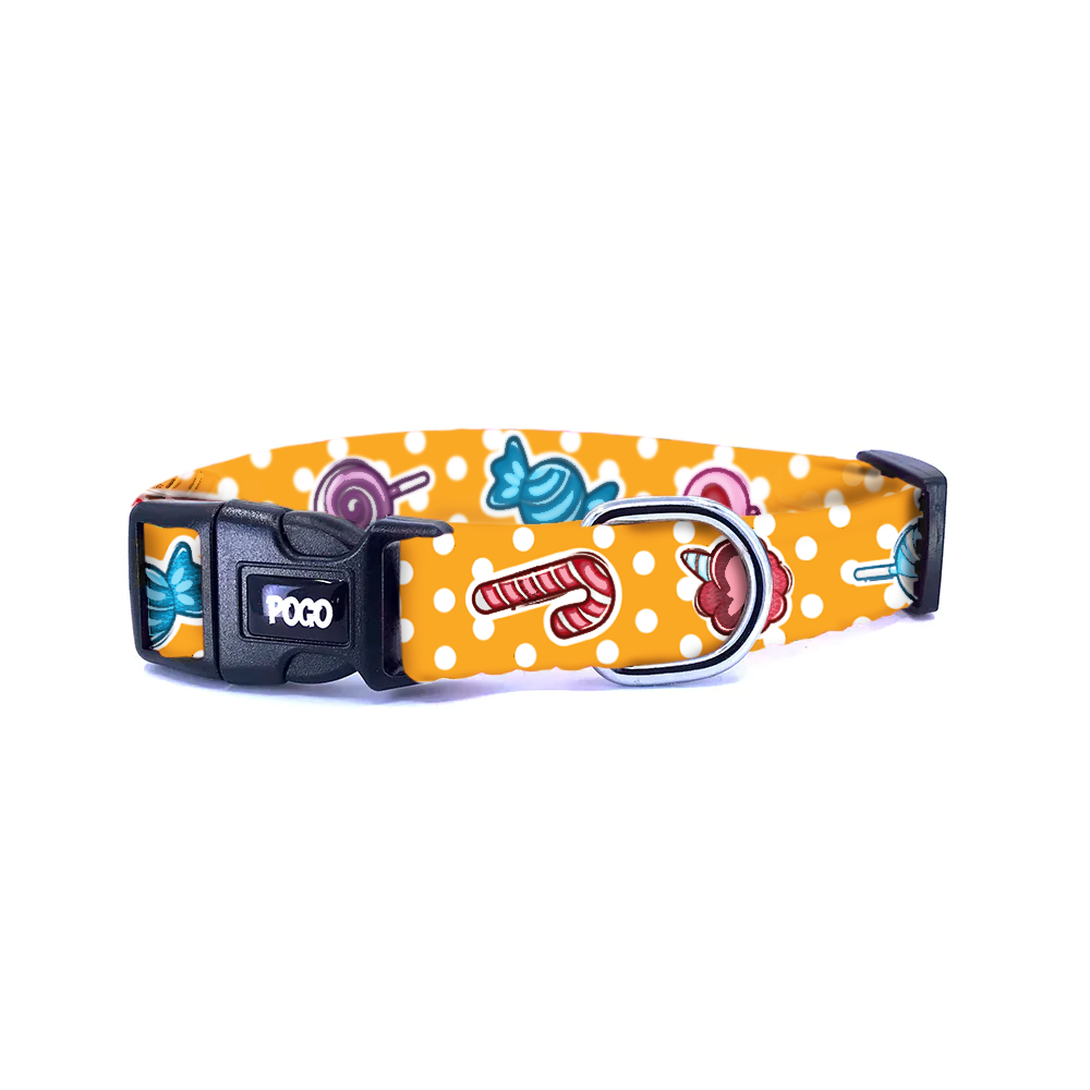 Sweetie Turuncu | Köpek Tasması