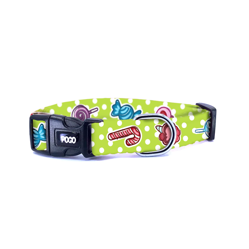 Sweetie Yeşil | Köpek Tasması