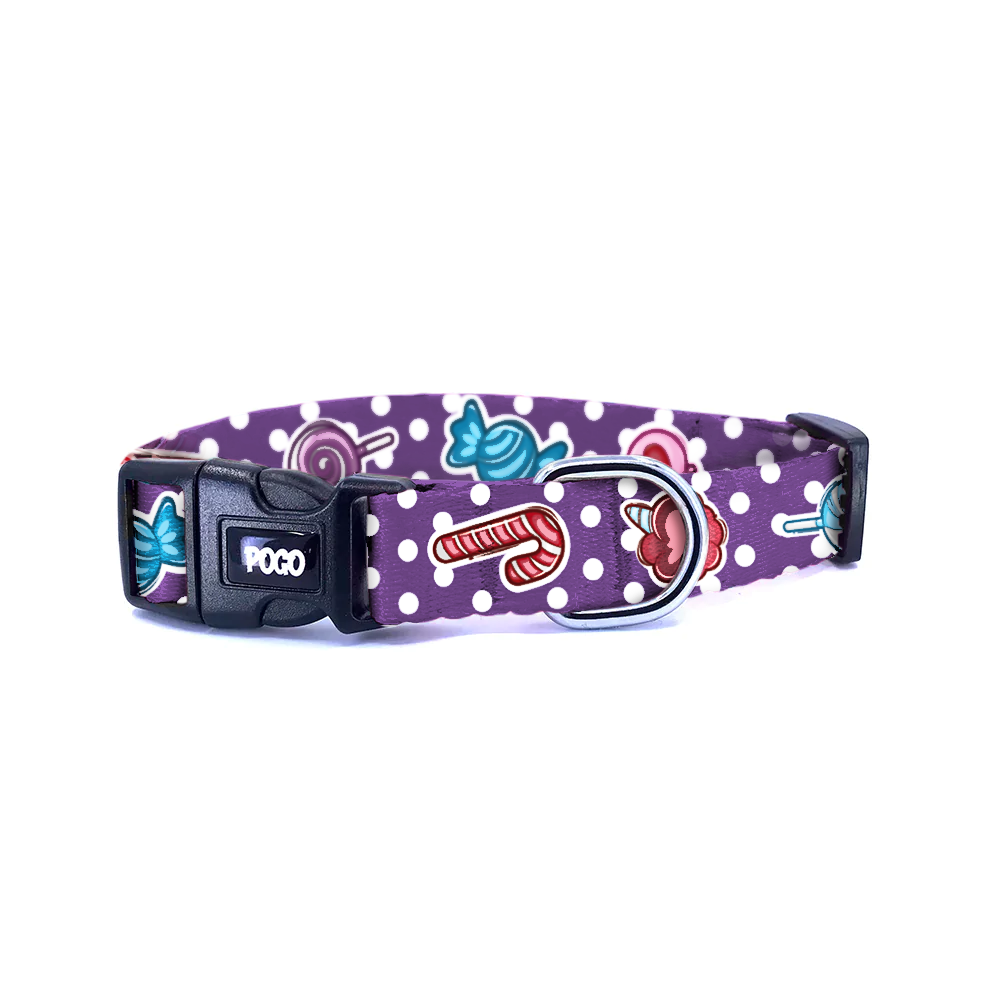 Sweetie Mor | Köpek Tasması