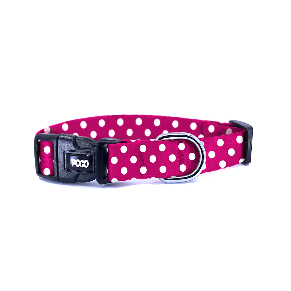 Polka Fuşya | Köpek Tasması