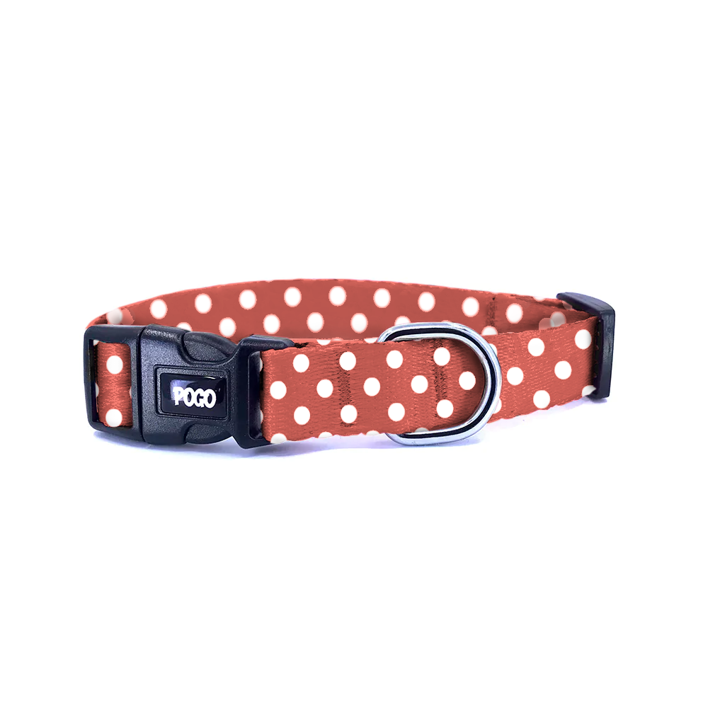 Polka Mercan | Köpek Tasması