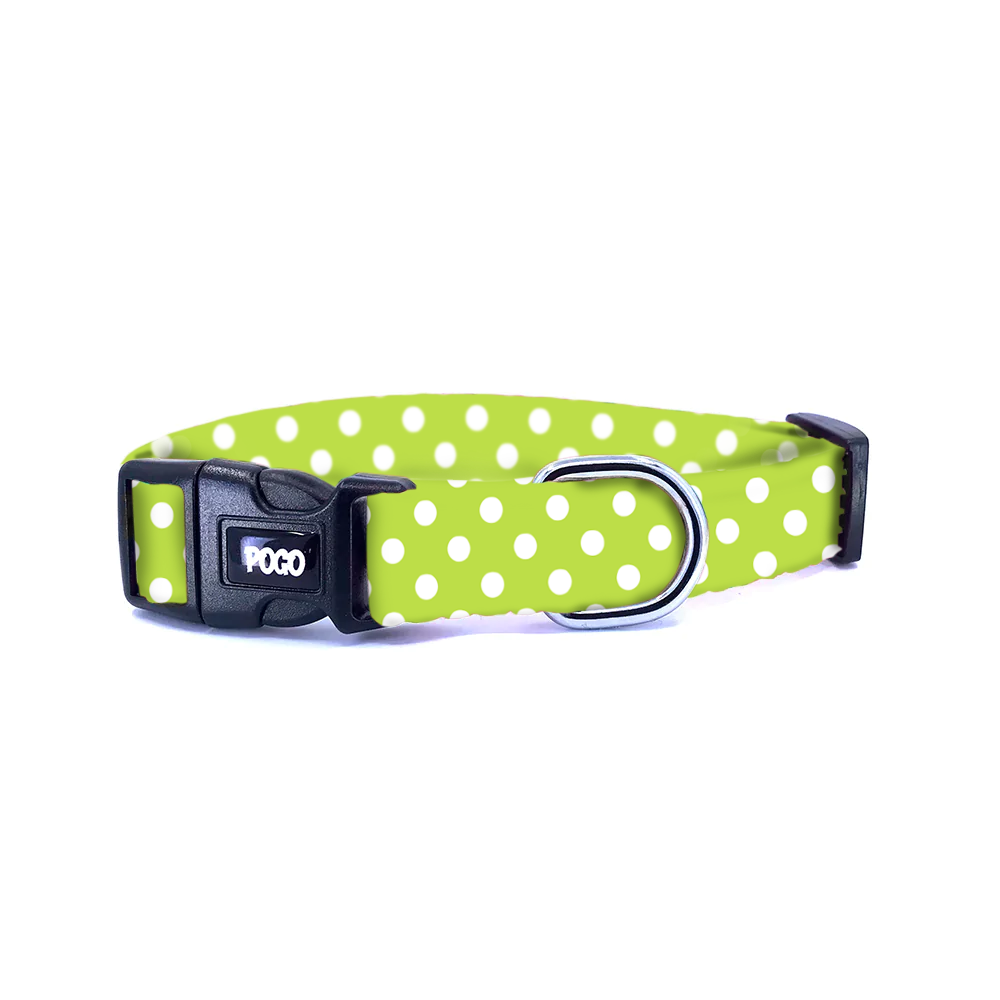 Polka Fıstık Yeşili | Köpek Tasması