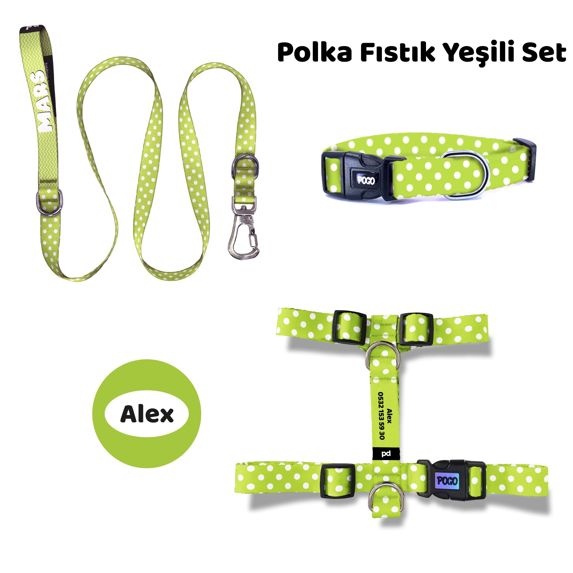 Polka Fıstık Yeşili | Tasma ve Künye Seti