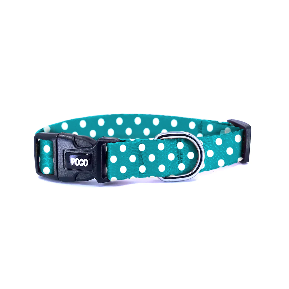 Polka Turkuaz | Köpek Tasması