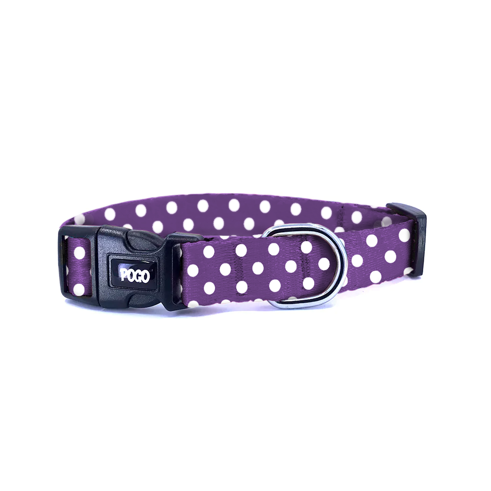 Polka Mor | Köpek Tasması
