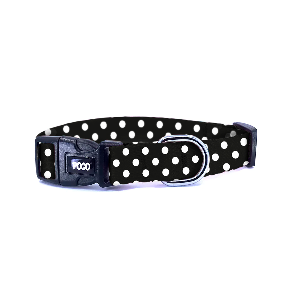 Polka Siyah | Köpek Tasması