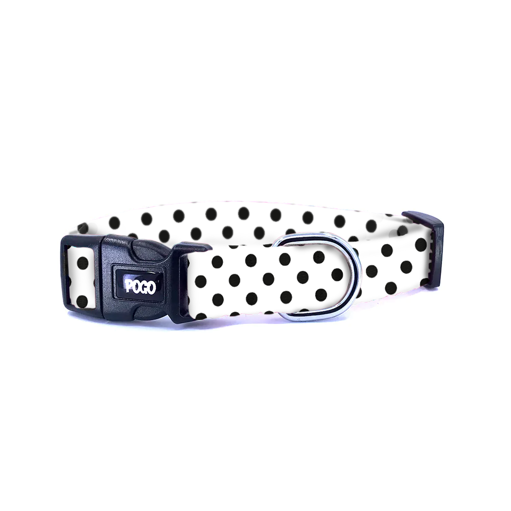 Polka Beyaz | Köpek Tasması