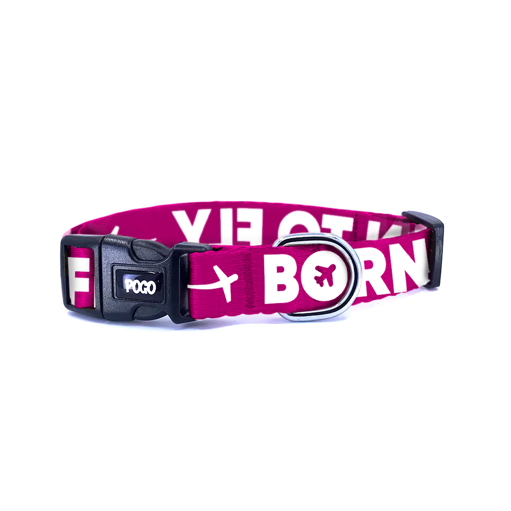 Born to Fly Pembe | Köpek Tasması