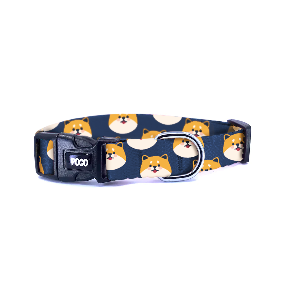 Corgi | Köpek Tasması